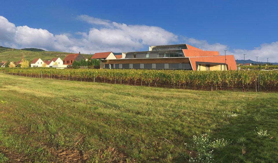 BET Projelec - WETTOLSHEIM_SALLE MULTI-ACTIVITES